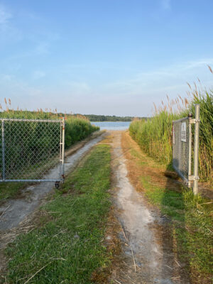 a dirt road with a fence and grass on the side (MyCoast AI)