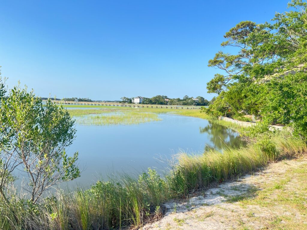 a river with grass and trees (MyCoast AI)
