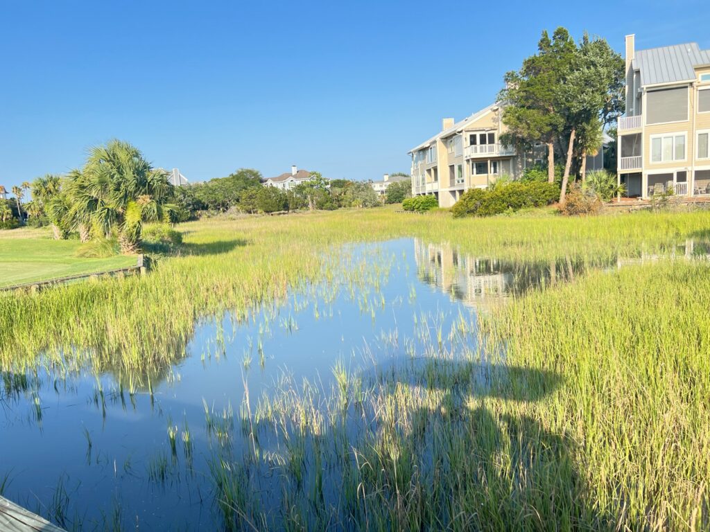 a body of water with grass and trees around it (MyCoast AI)