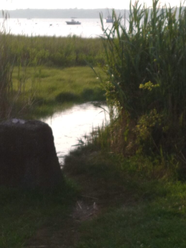 a boat in the water (MyCoast AI)