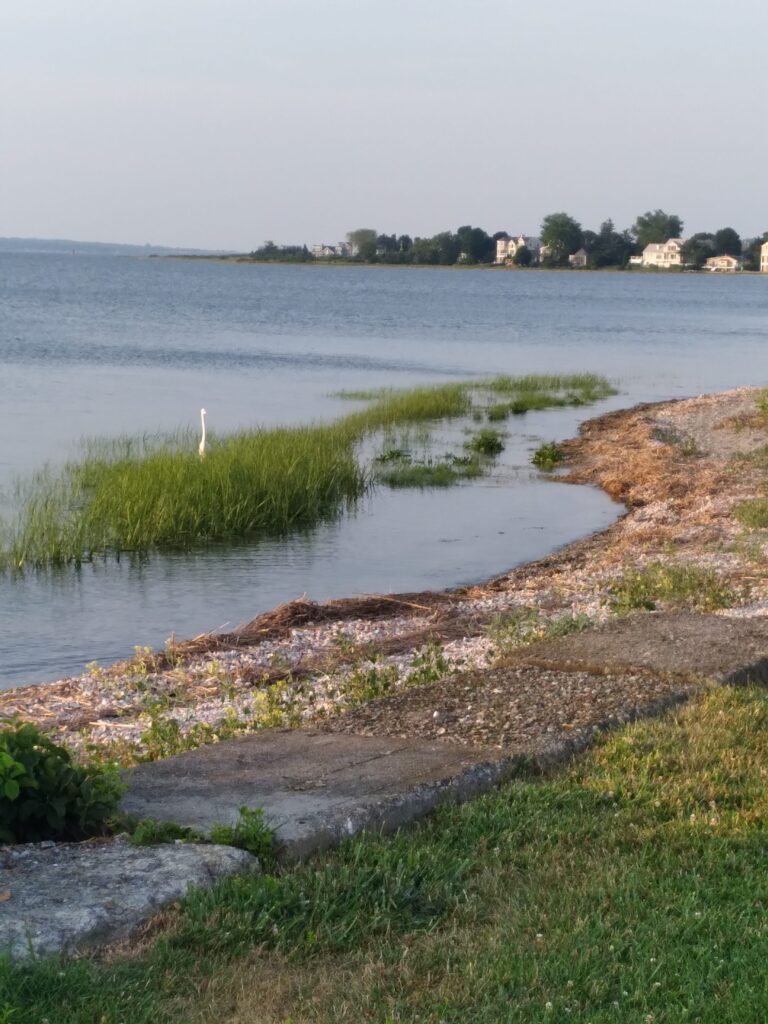 a body of water with grass and rocks around it (MyCoast AI)