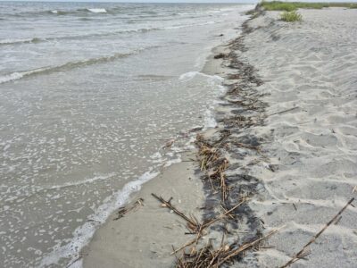 a beach with a bunch of sticks in the sand (MyCoast AI)