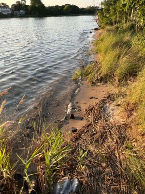 a body of water with grass and trees around it (MyCoast AI)