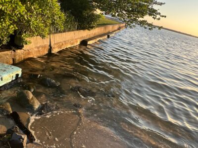 a body of water with rocks and trees around it (MyCoast AI)
