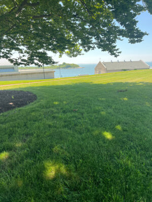 a grassy area with a building in the distance (MyCoast AI)