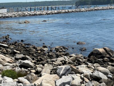 a rocky beach with a pier (MyCoast AI)