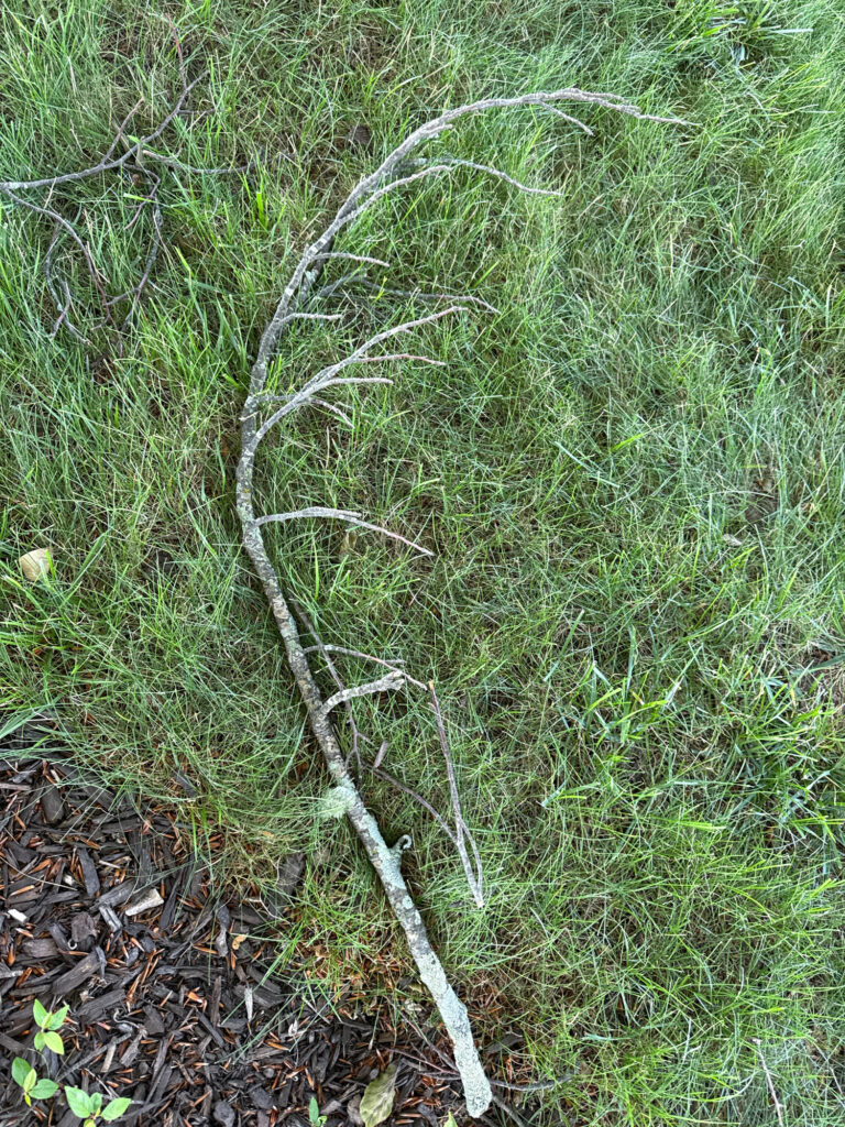 a close-up of a wire (MyCoast AI)