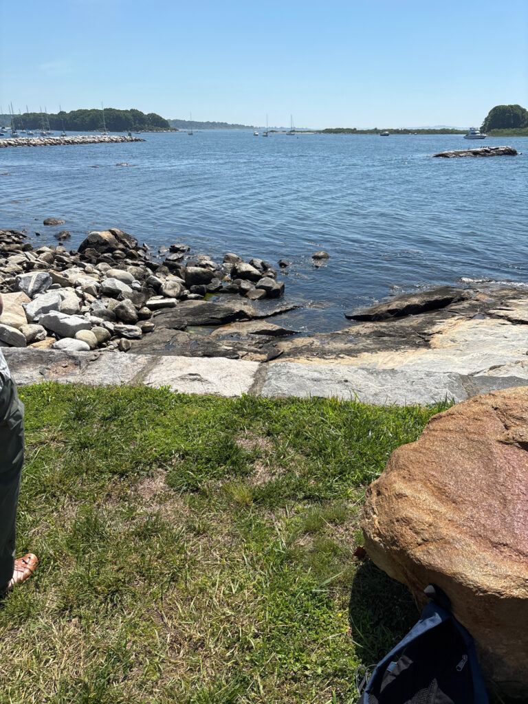 a rocky beach with a body of water in the background (MyCoast AI)