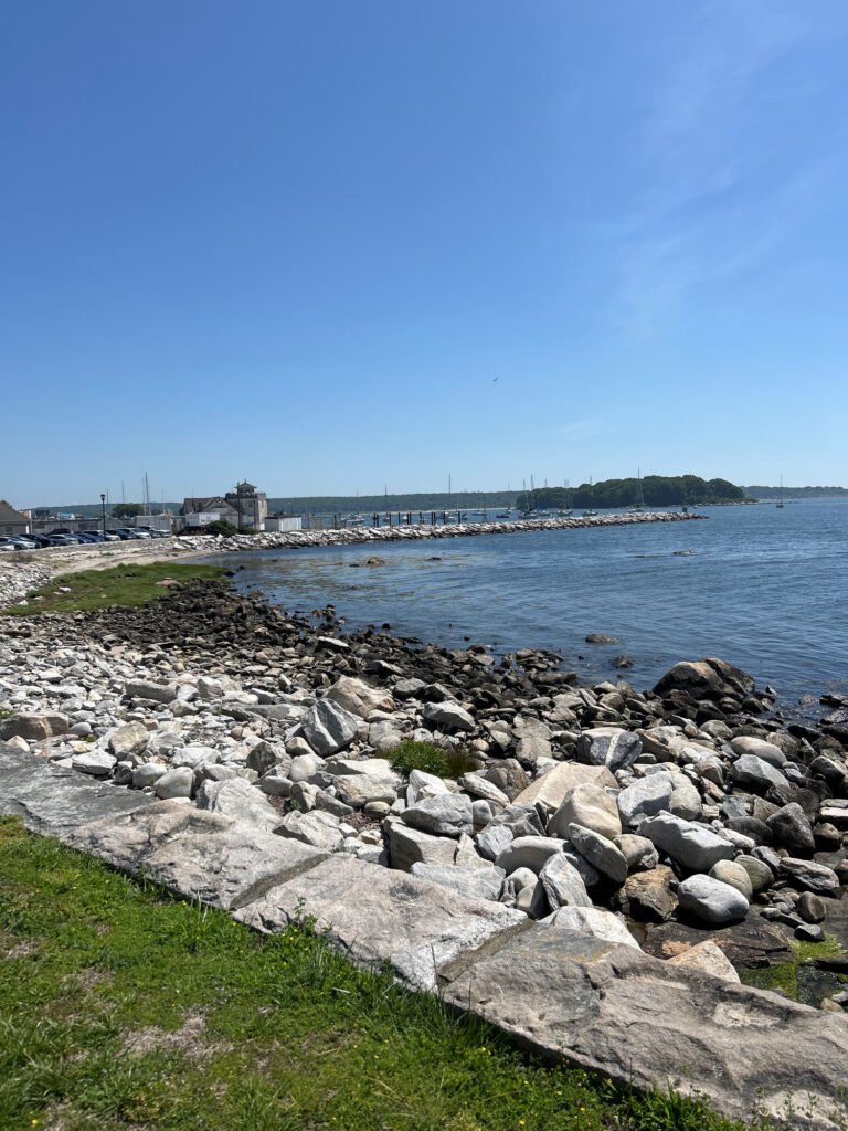a rocky beach with a body of water in the background (MyCoast AI)