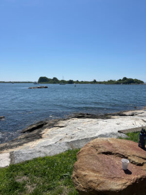 a rocky beach with a body of water in the background (MyCoast AI)