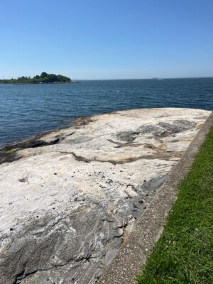 a rocky beach with a body of water in the background (MyCoast AI)