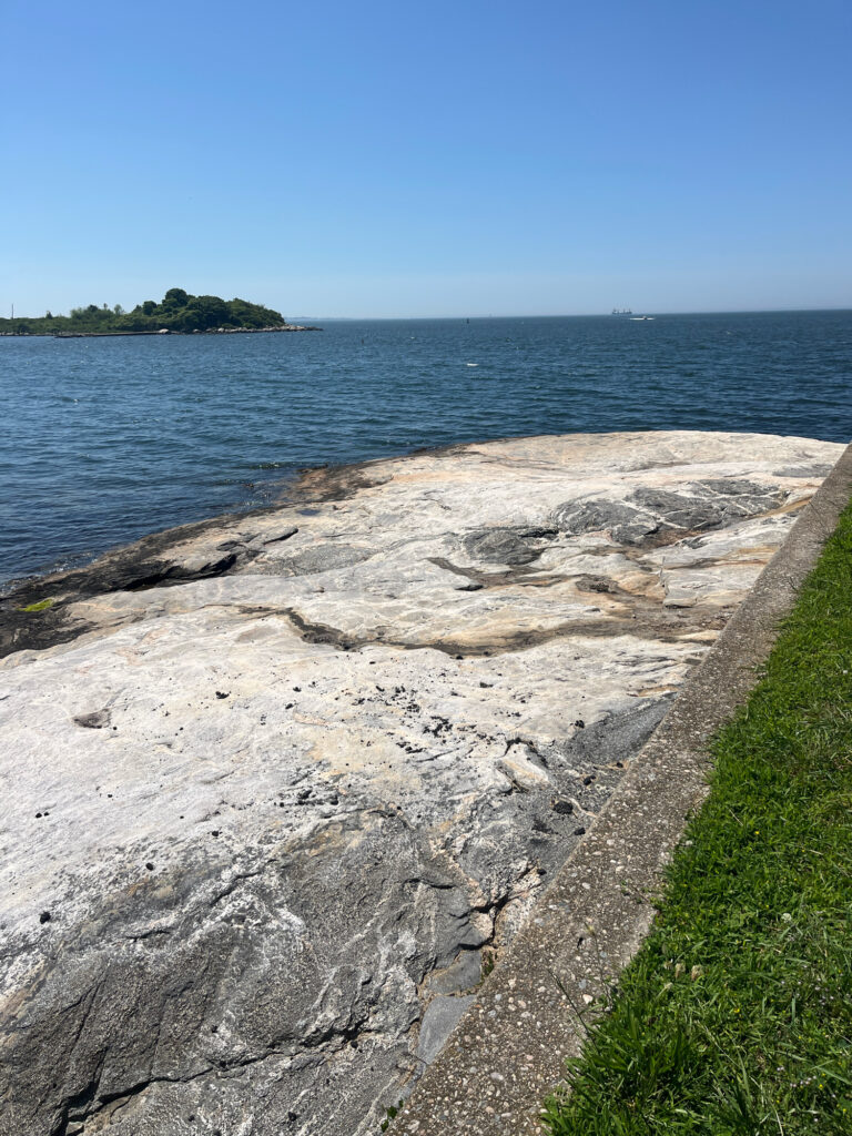 a rocky beach with a body of water in the background (MyCoast AI)