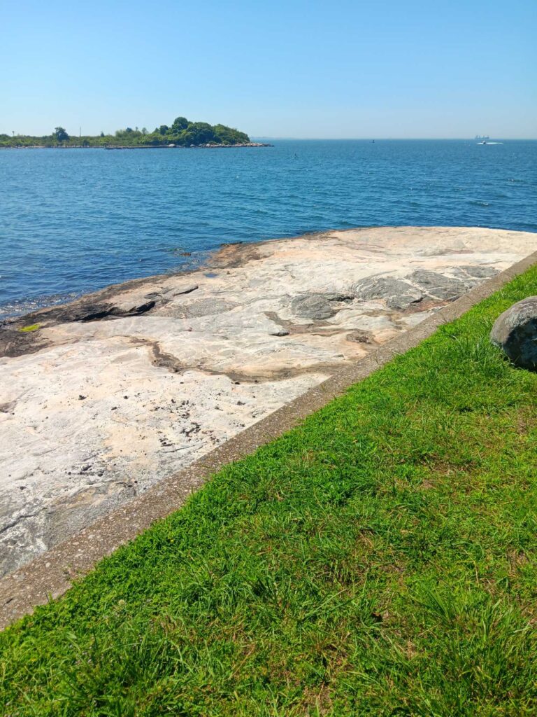 a rocky beach with grass and water (MyCoast AI)