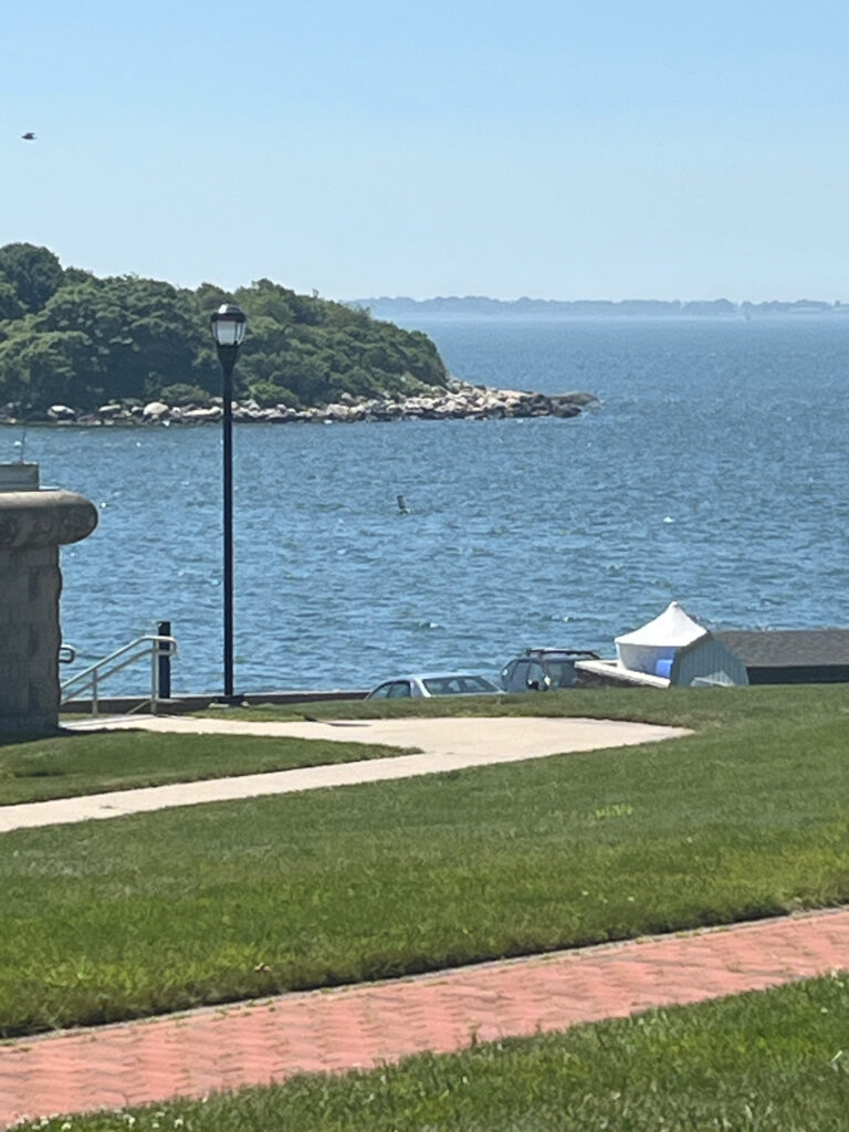 a body of water with a path and a lamp post (MyCoast AI)