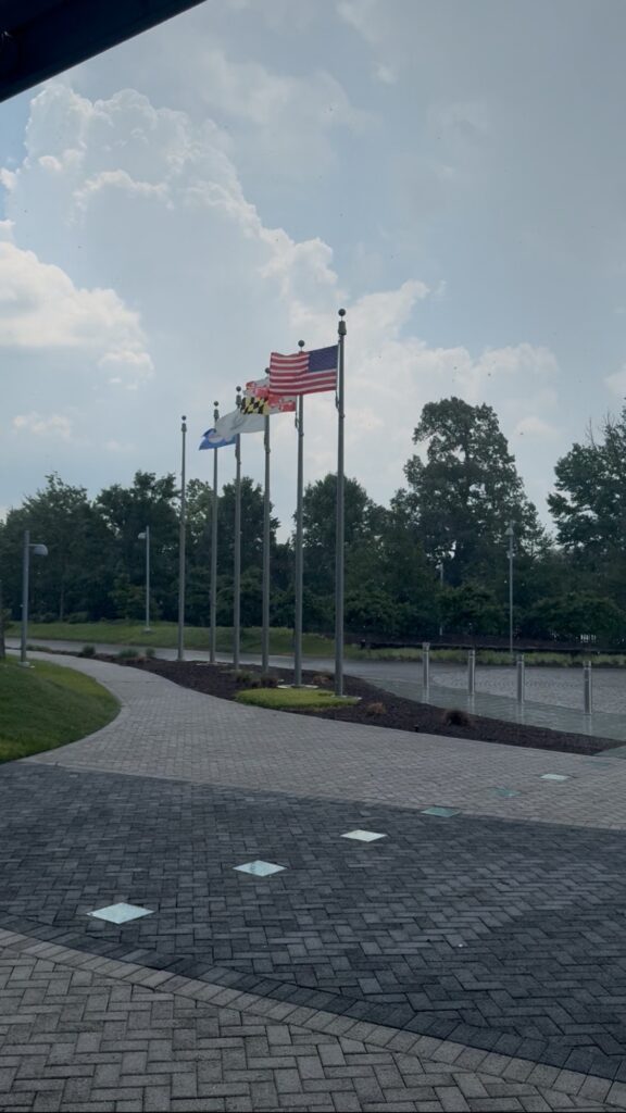 flags on poles in a row (MyCoast AI)