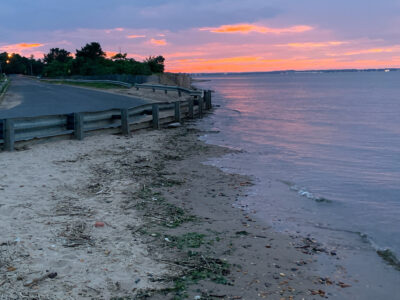 a beach with a wooden dock (MyCoast AI)