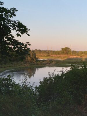 a river with grass and trees (MyCoast AI)