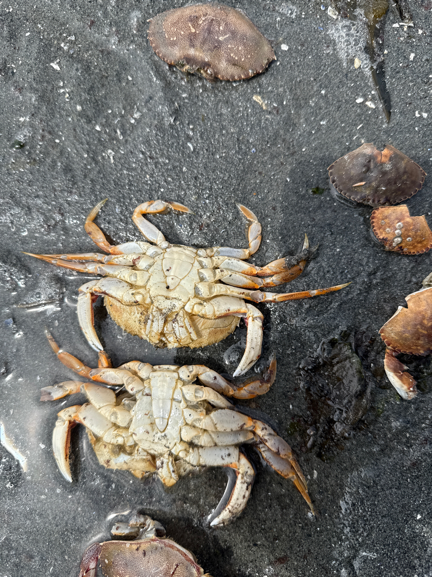 feb5694eb9e1c0966f618e20d39d87732db44b1a