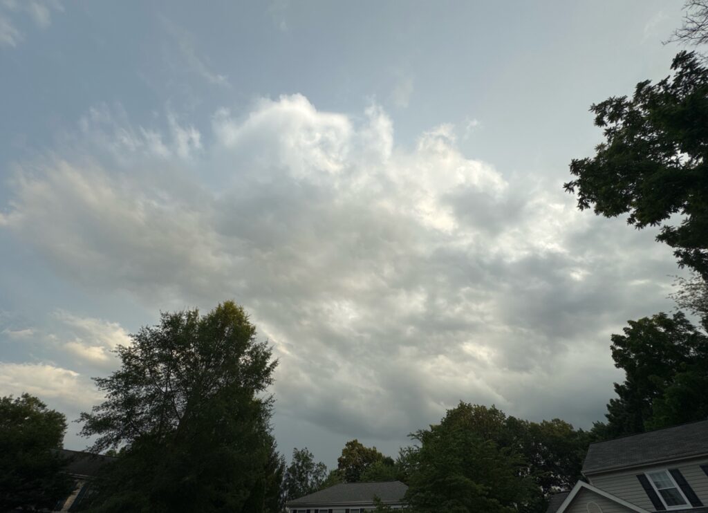 a cloudy sky above trees (MyCoast AI)