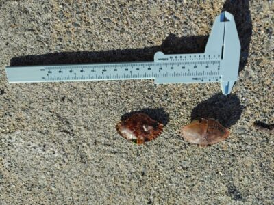 a sign on the ground (MyCoast AI)