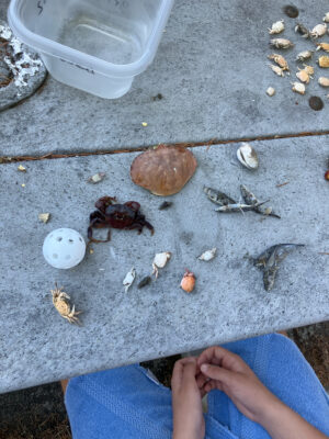 a person's feet on a concrete surface with objects on it (MyCoast AI)