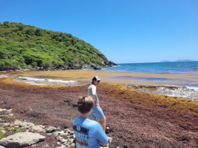 a group of people on a beach (MyCoast AI)