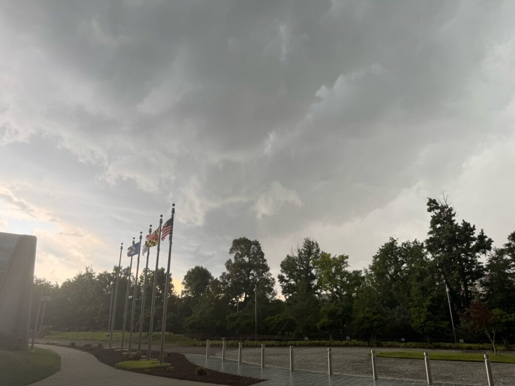 a group of flags on poles (MyCoast AI)