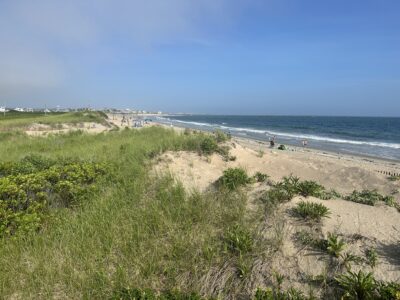 a beach with people walking on it (MyCoast AI)