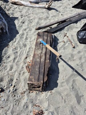 a wooden bench on the sand (MyCoast AI)