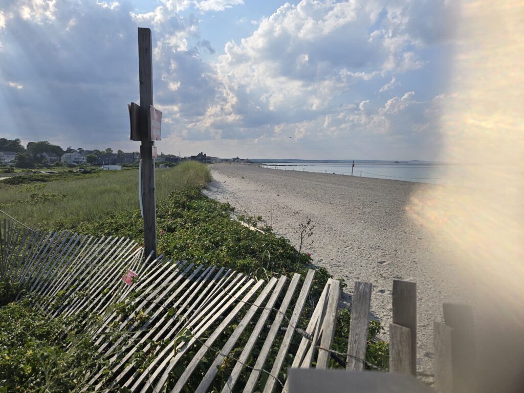 a fence on a beach (MyCoast AI)