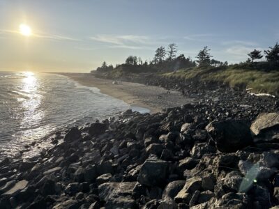 a rocky beach with trees and water (MyCoast AI)