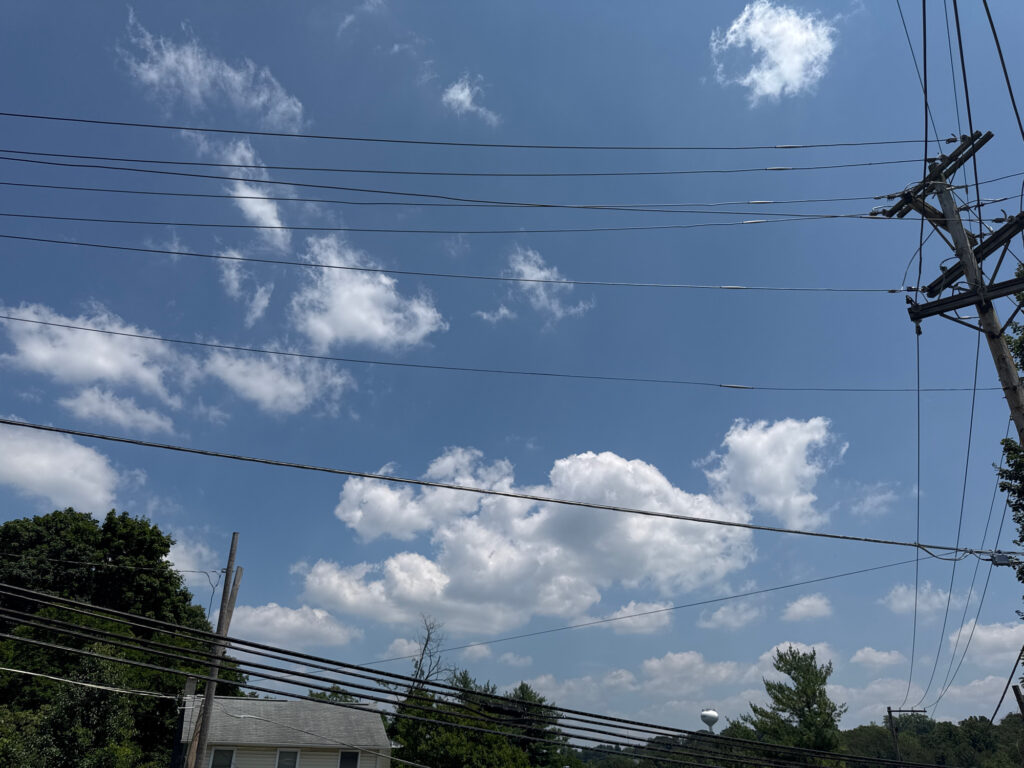 power lines and trees (MyCoast AI)