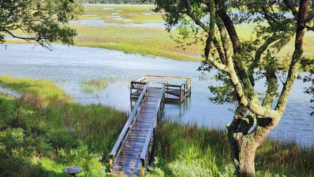 a wooden bridge over a body of water (MyCoast AI)