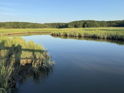 a body of water with grass and trees around it (MyCoast AI)