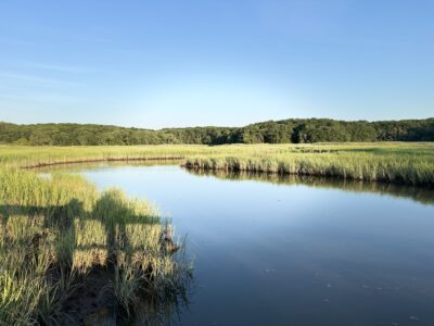 a body of water with grass and trees around it (MyCoast AI)