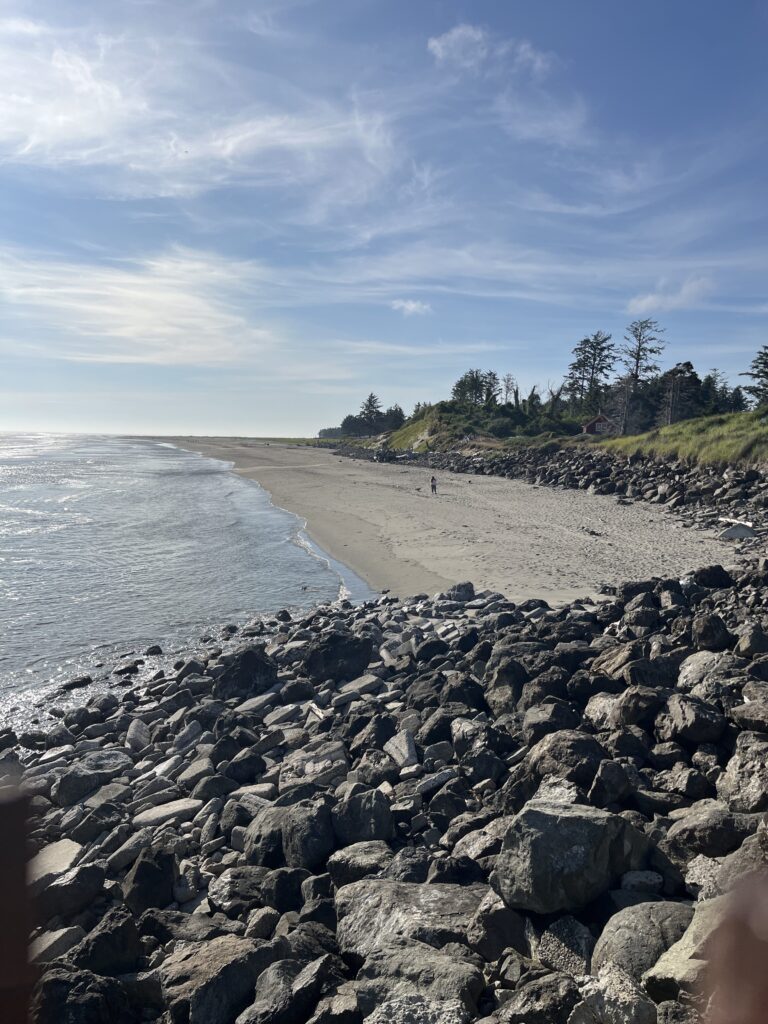 a rocky beach with trees and a body of water (MyCoast AI)