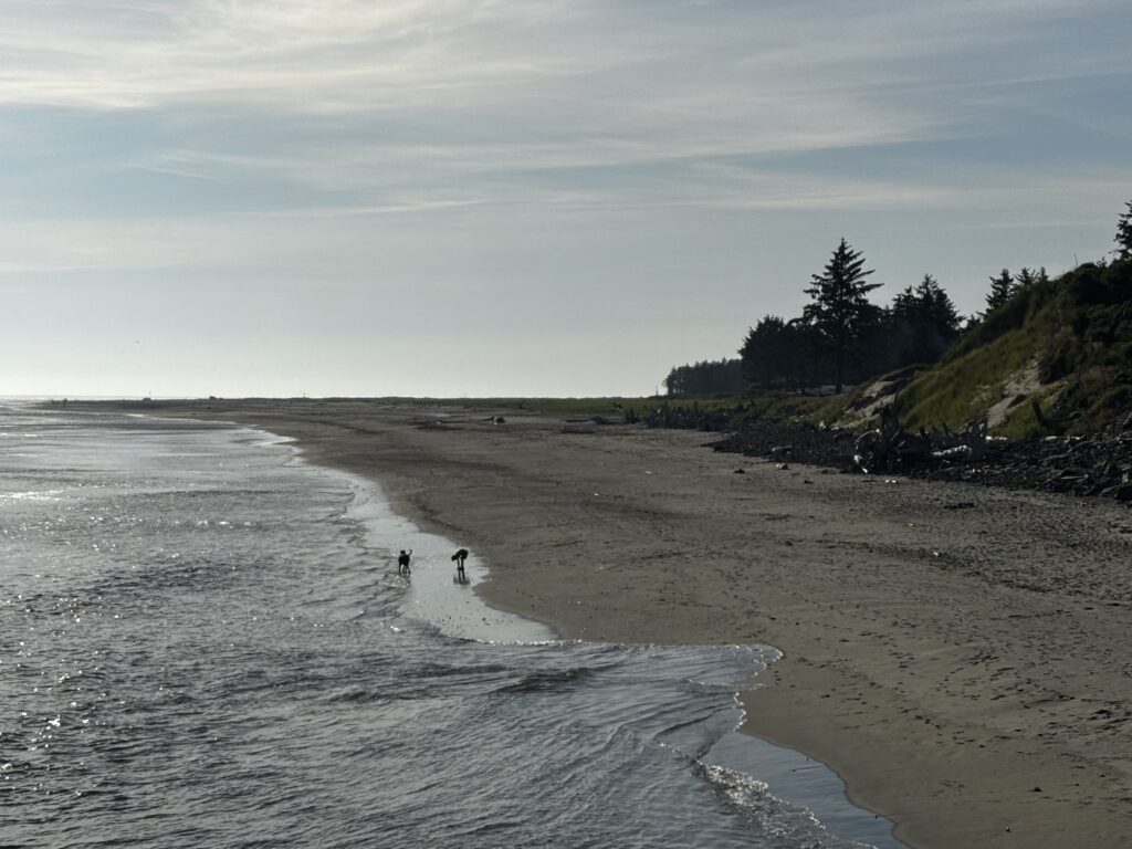 a group of people walking on a beach (MyCoast AI)