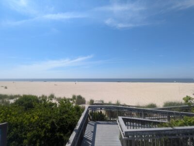 a sandy beach with bushes and trees (MyCoast AI)