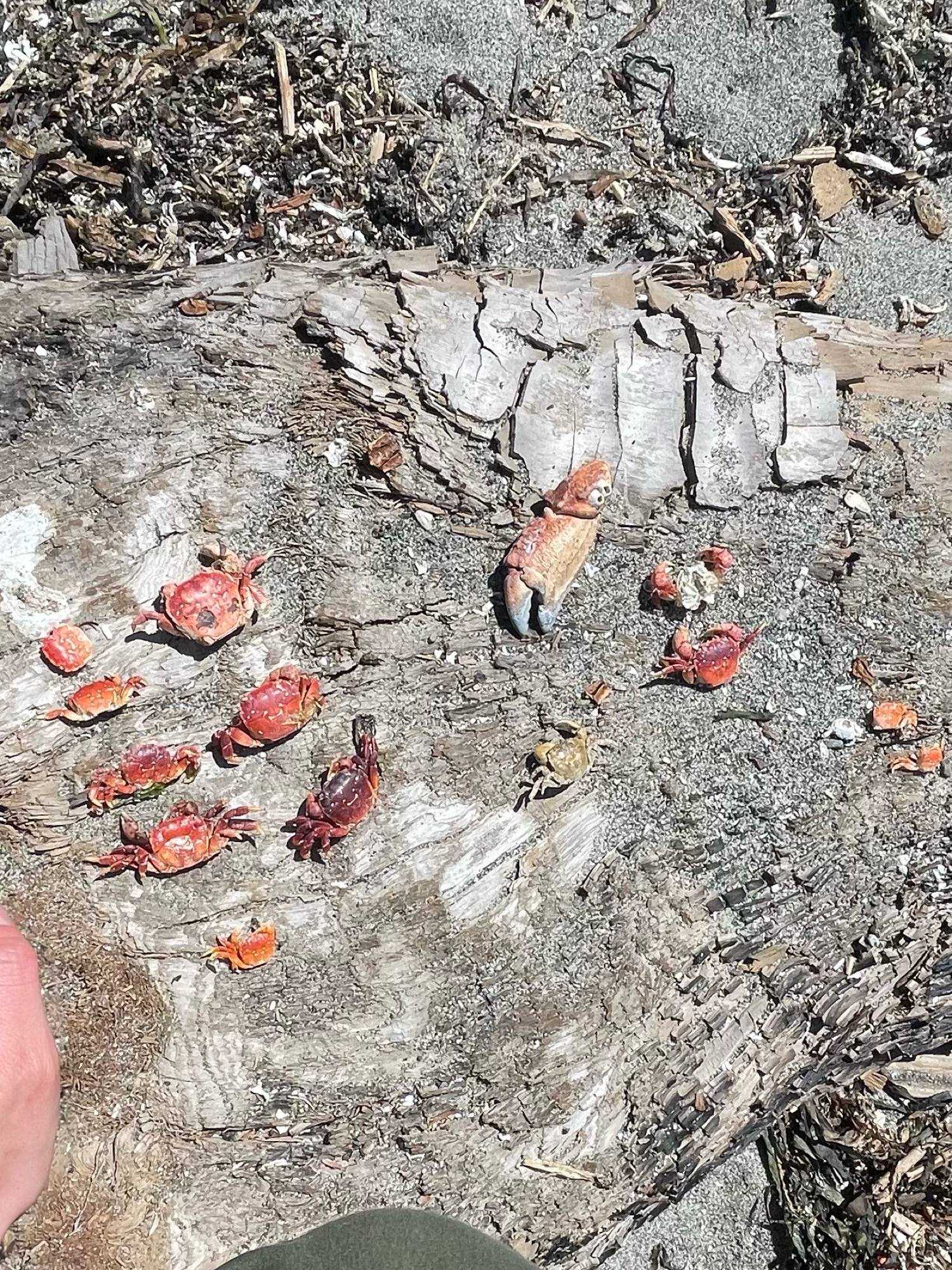 0d11d8eae4d60caf3803bb5c19231e1a0baaa382