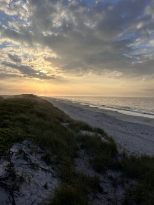 a beach with grass and sand (MyCoast AI)