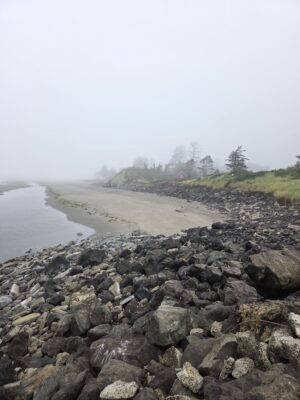 a rocky beach with trees in the background (MyCoast AI)