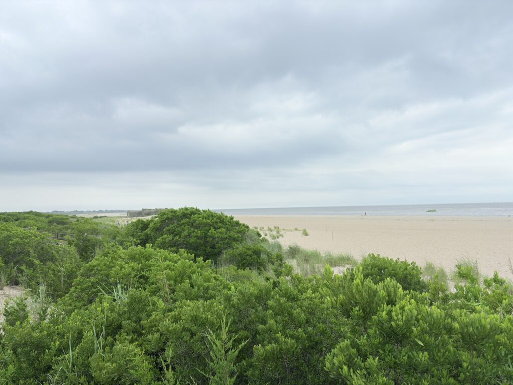 a beach with trees and bushes (MyCoast AI)