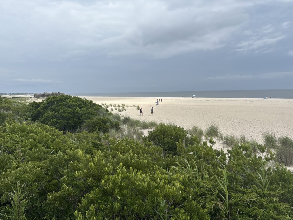 a group of people walking on a beach (MyCoast AI)