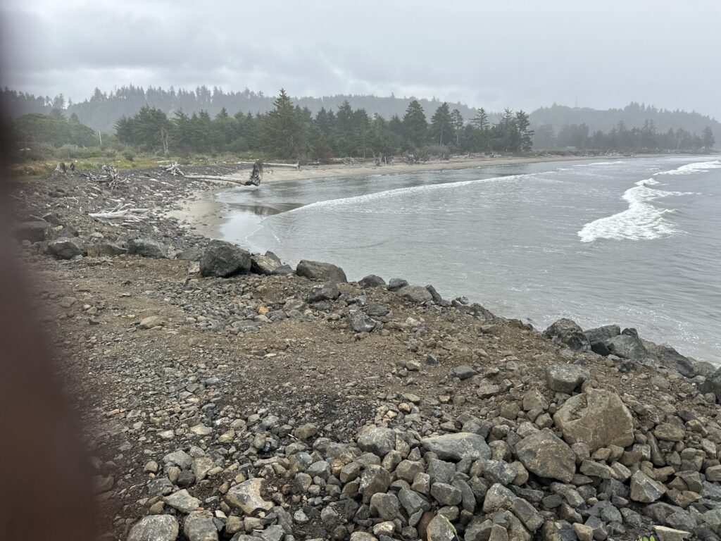 a rocky shore with a body of water and trees in the background (MyCoast AI)