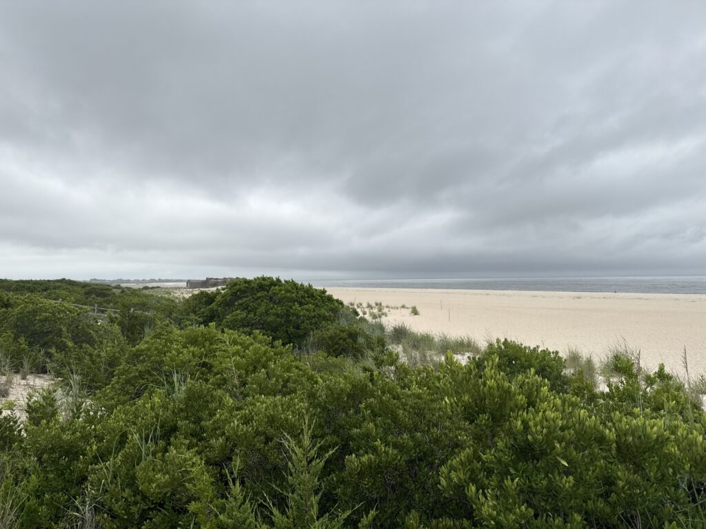 a beach with trees and bushes (MyCoast AI)