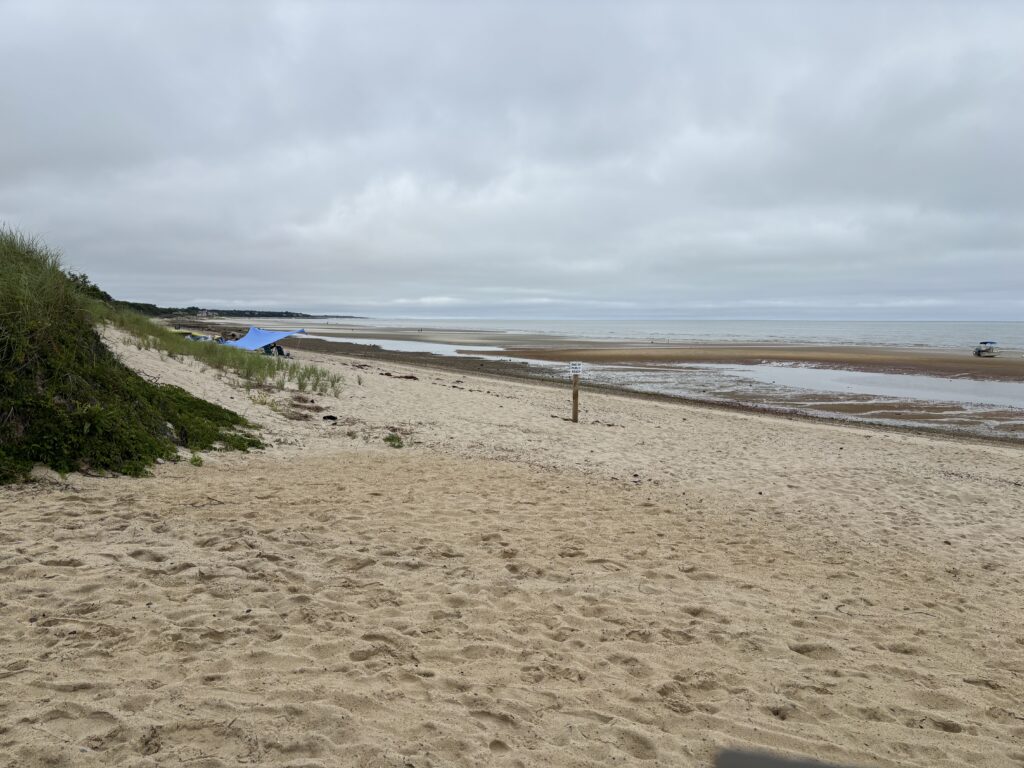 a sandy beach with a blue tent (MyCoast AI)