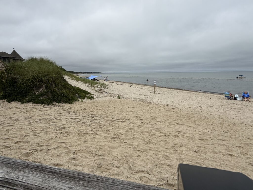 a sandy beach with people and a body of water in the background (MyCoast AI)