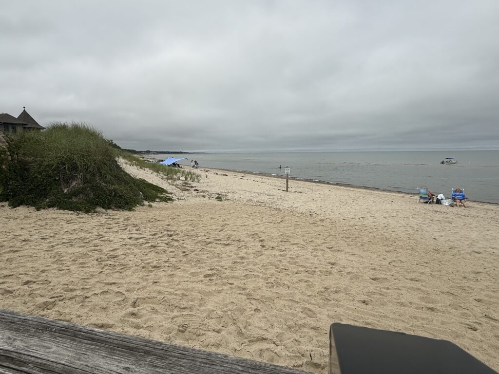 a beach with people on it (MyCoast AI)