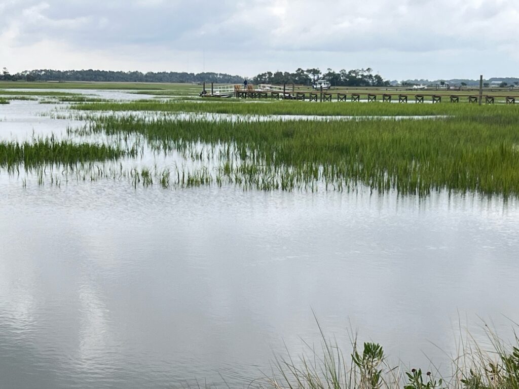 a body of water with grass and buildings in the background (MyCoast AI)