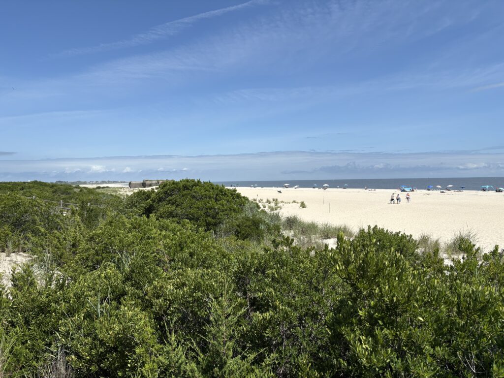 a group of people walking on a beach (MyCoast AI)